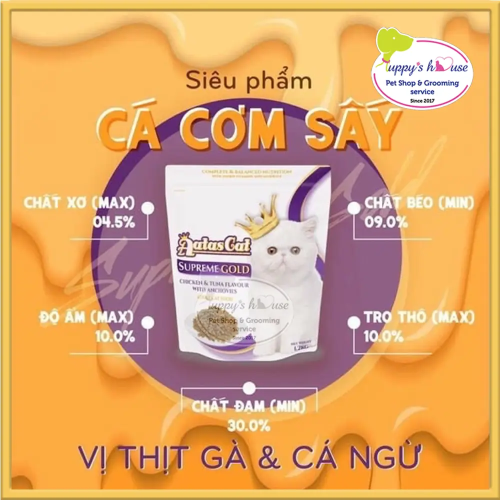 Shop Secondary Image