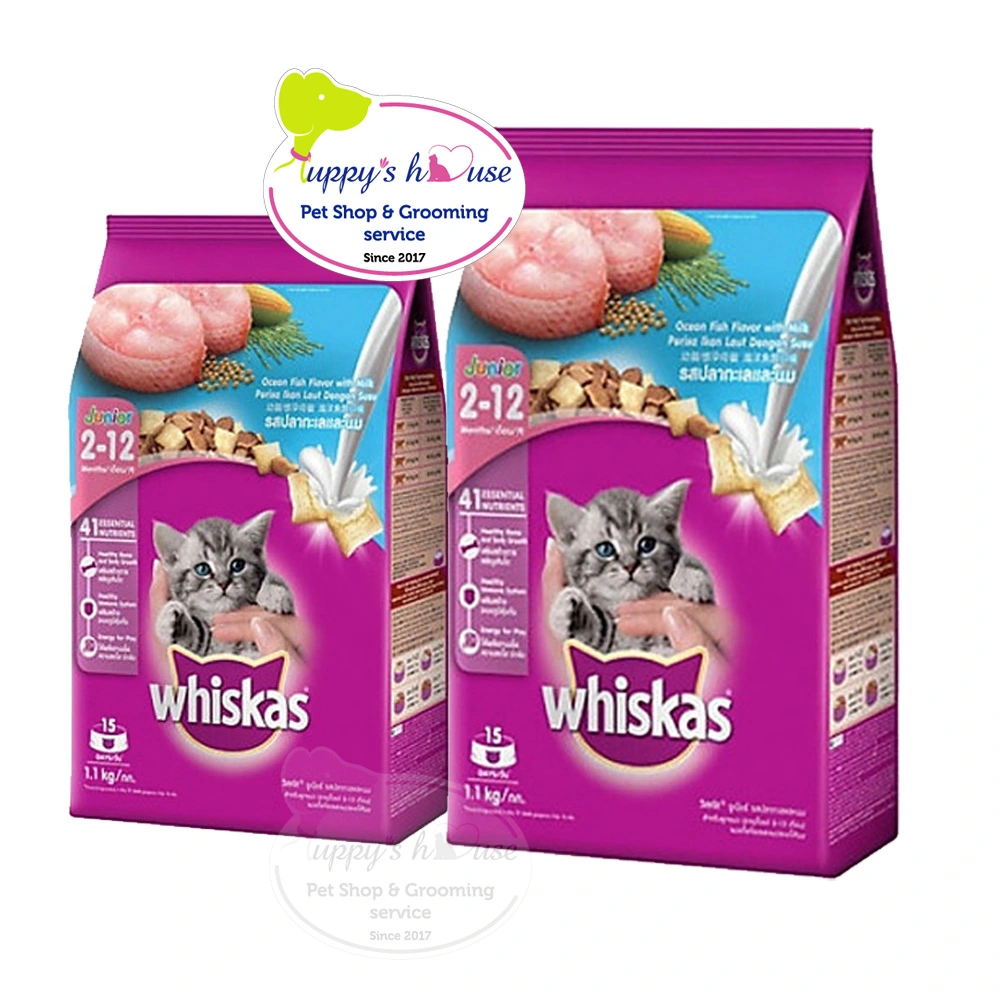 Shop Primary Image