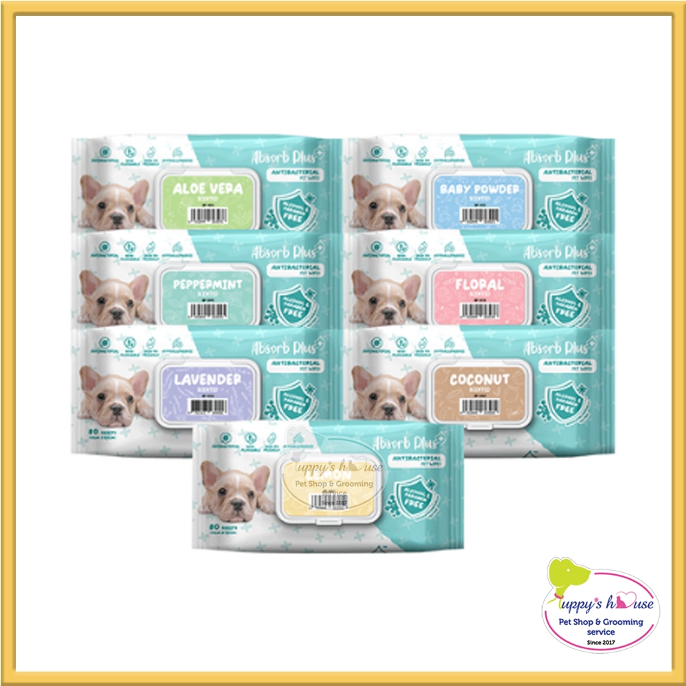 Shop Primary Image Shop Primary Image