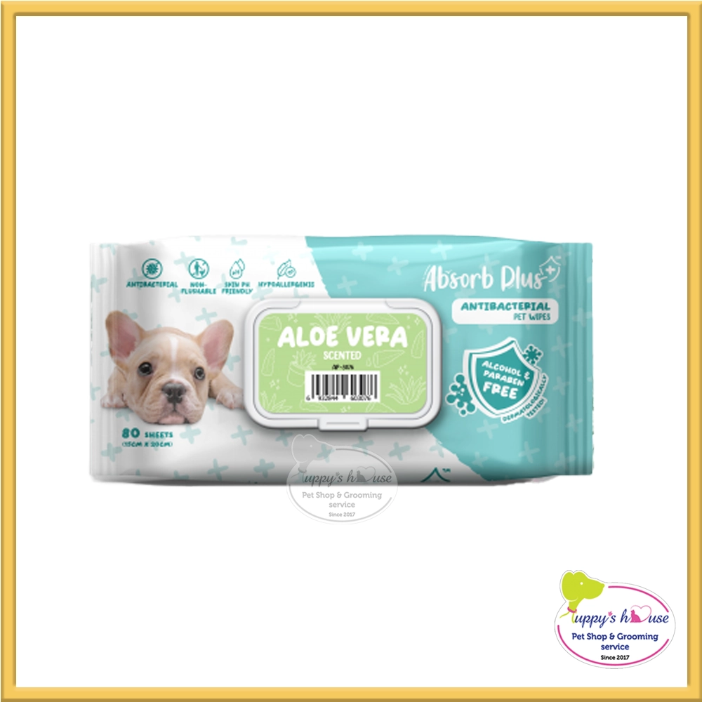 Shop Secondary Image Shop Secondary Image