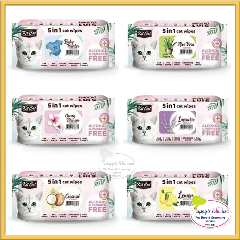 Shop Primary Image Shop Primary Image