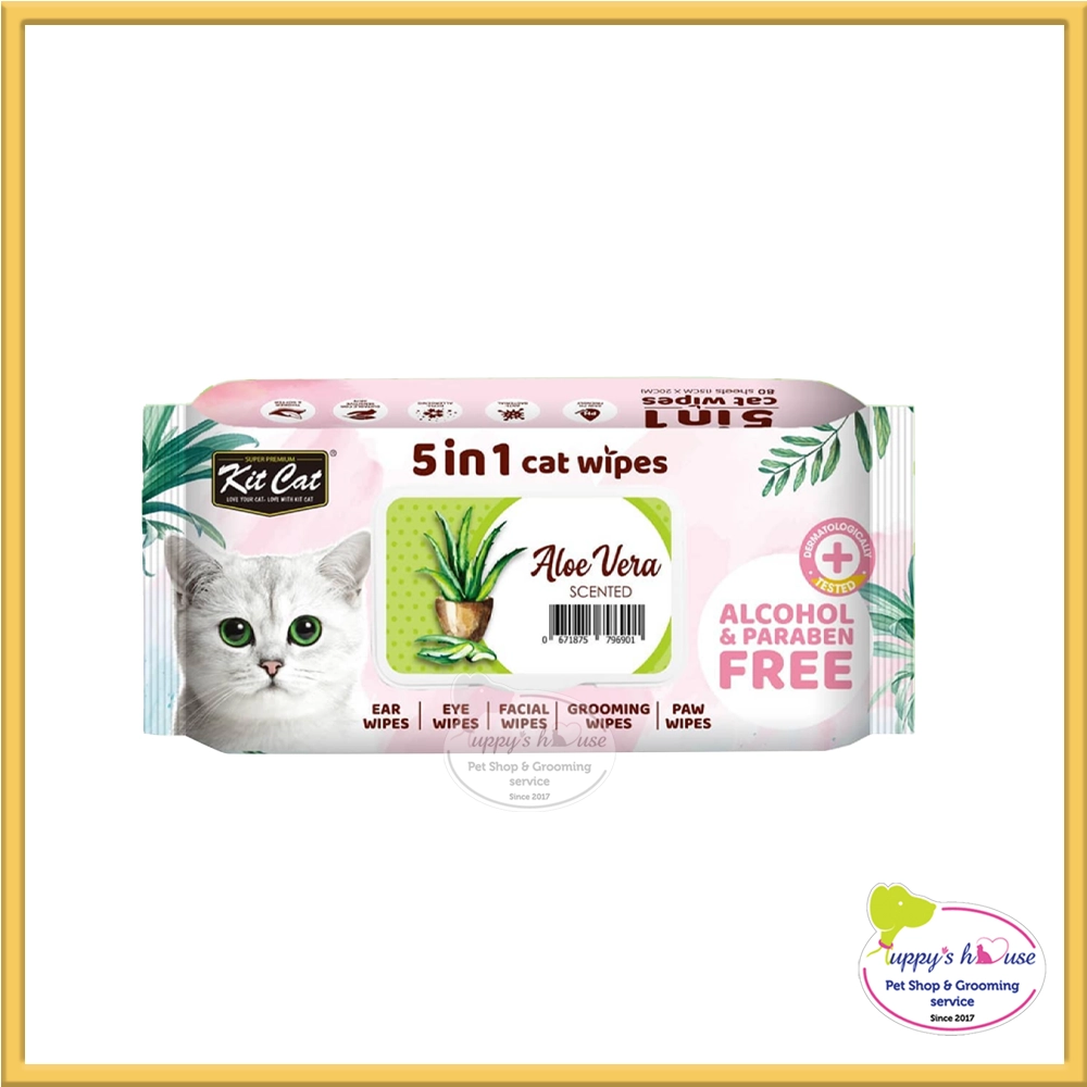 Shop Secondary Image Shop Secondary Image