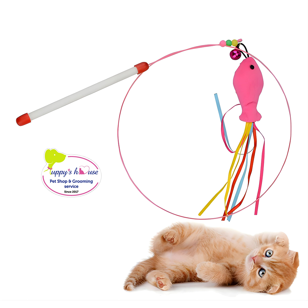 Shop Secondary Image