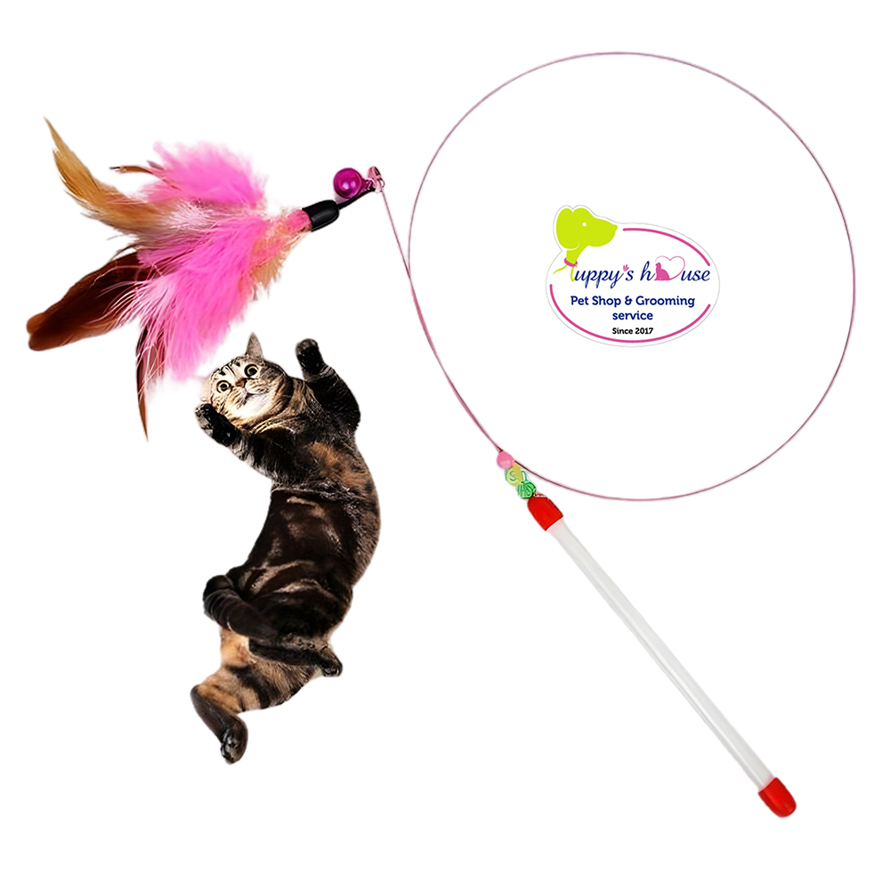 Cần câu lông vũ 3