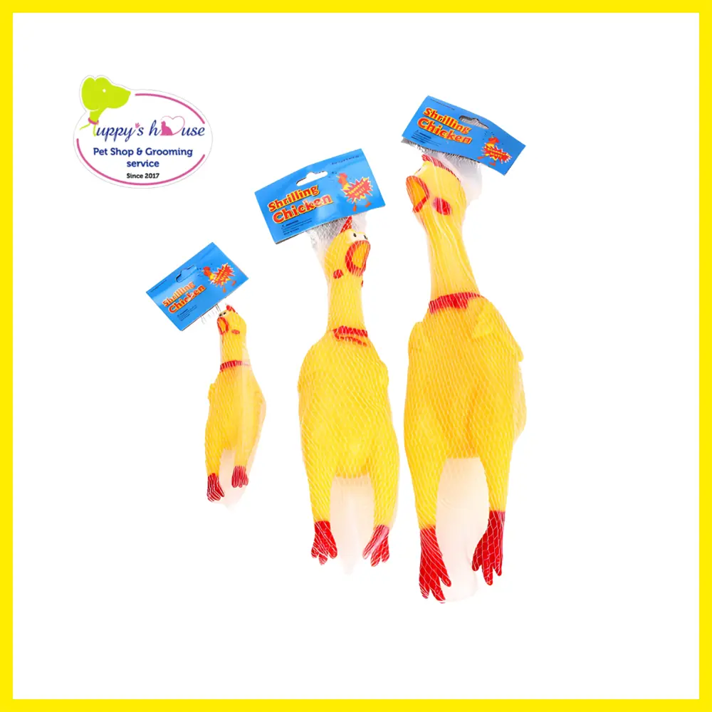 Shop Primary Image Shop Primary Image