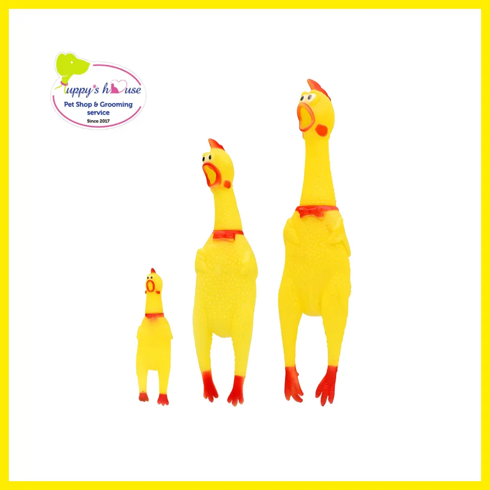 Shop Secondary Image Shop Secondary Image