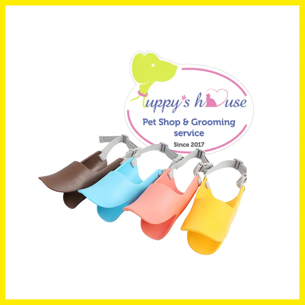 Shop Primary Image Shop Primary Image