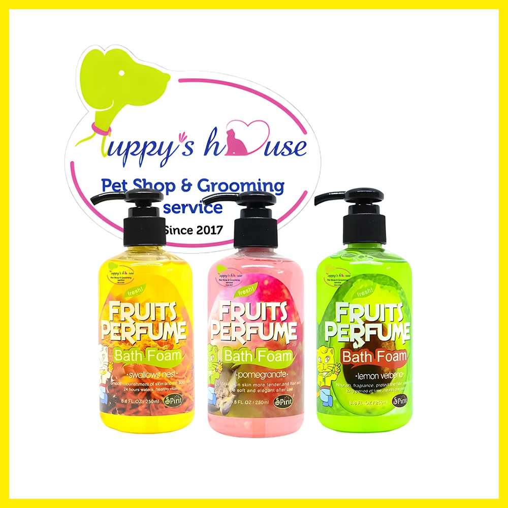 Shop Primary Image Shop Primary Image