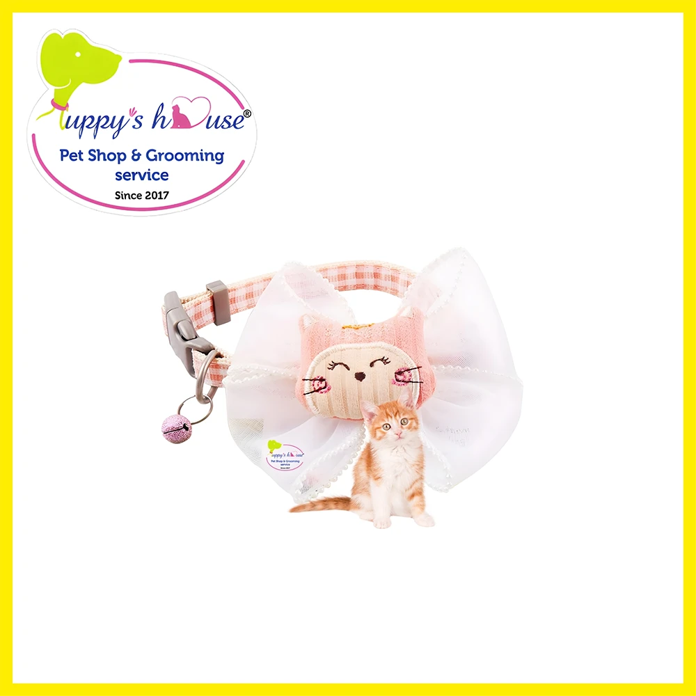 Shop Secondary Image Shop Secondary Image