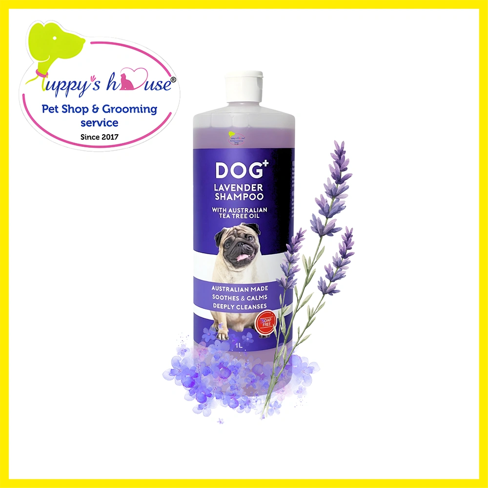 Shop Secondary Image