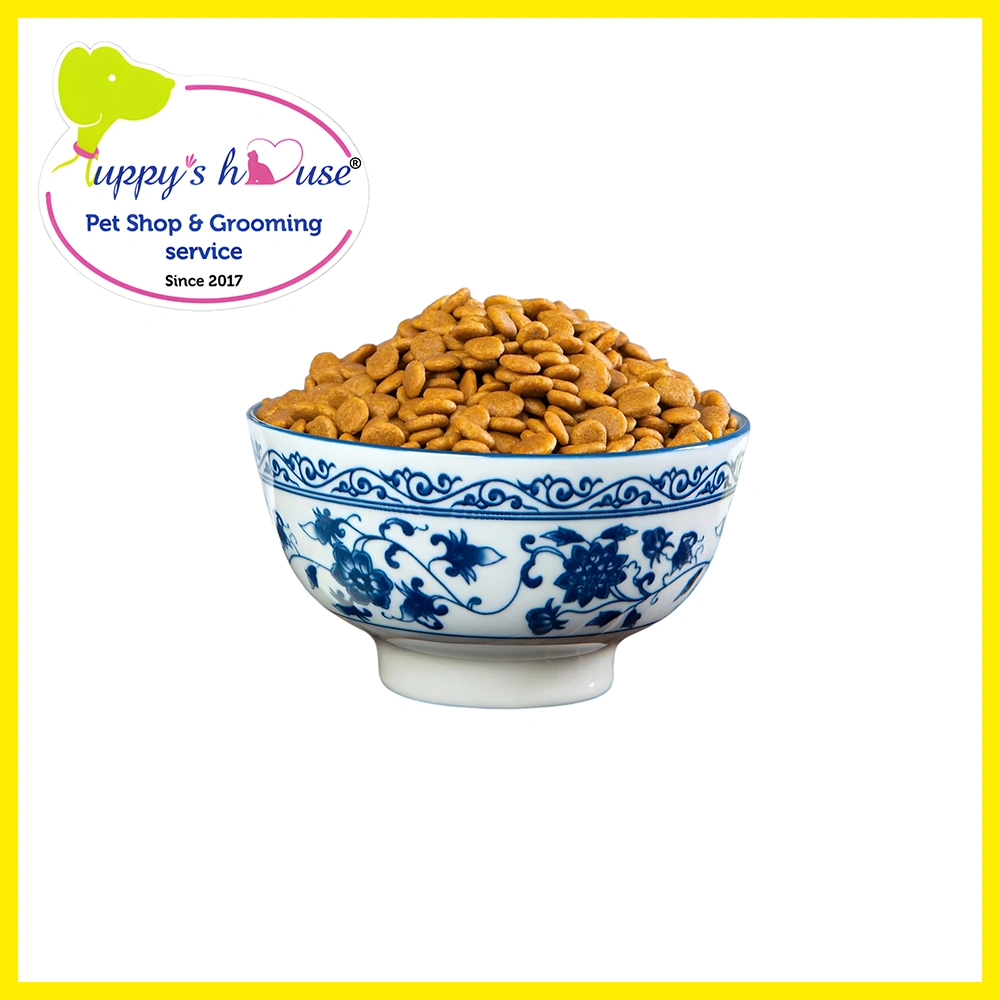 Shop Secondary Image Shop Secondary Image