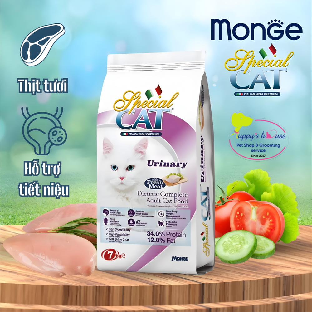 Shop Secondary Image Shop Secondary Image